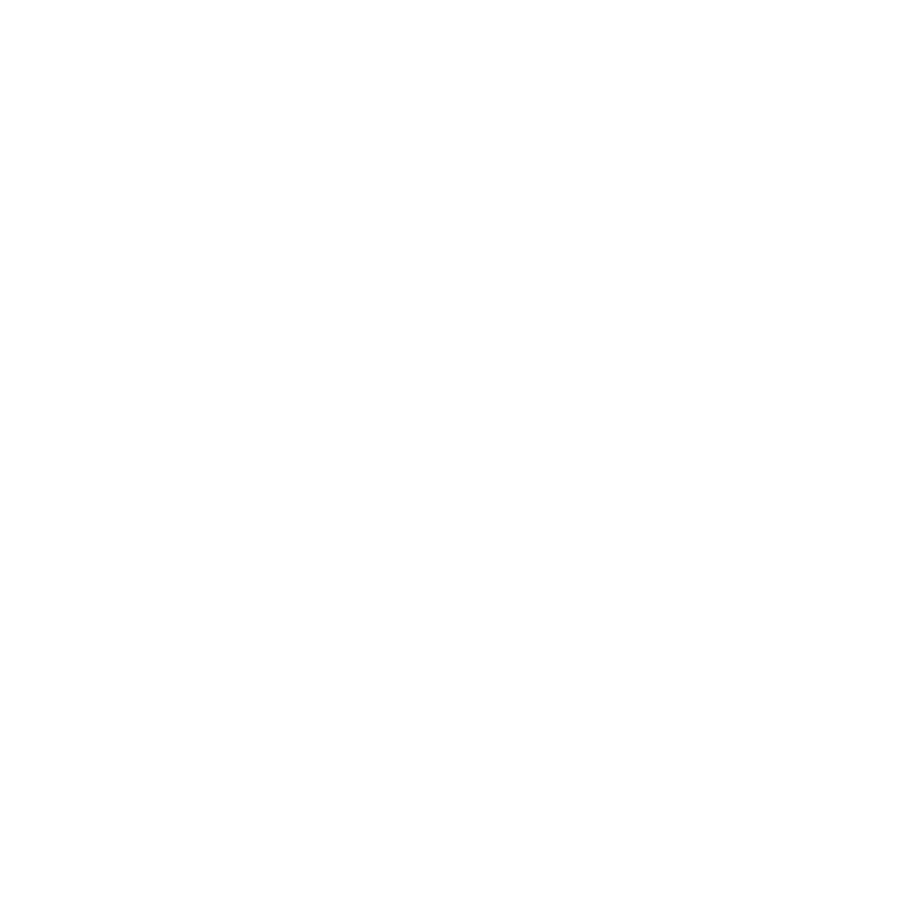 Maintance White Icon